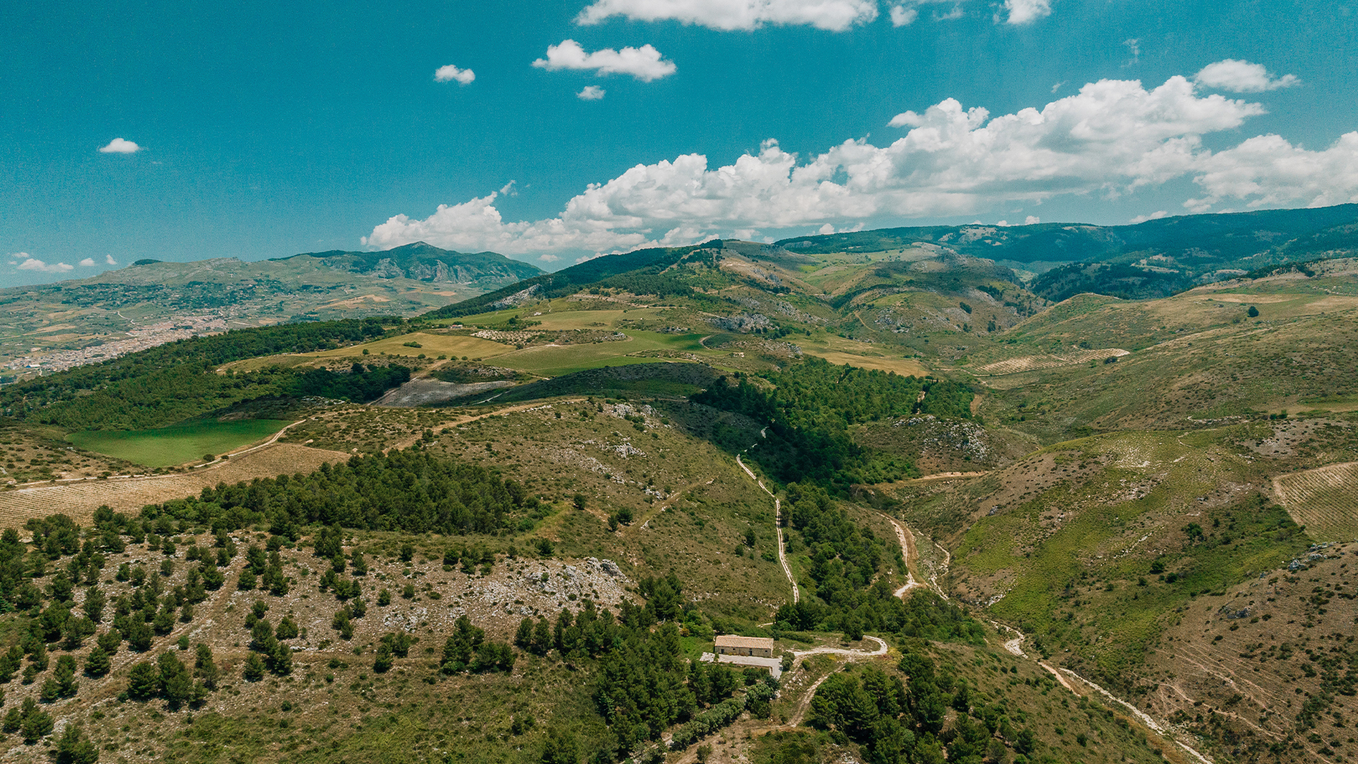 Sito dell'Ulmo Wine - Planeta